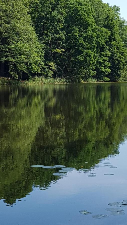 Niebieski Zakatek Wisełka Exteriör bild